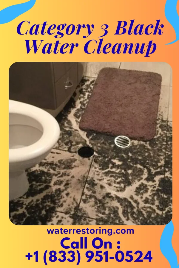 Category 3 Black Water Cleanup in Bayonne, NJ