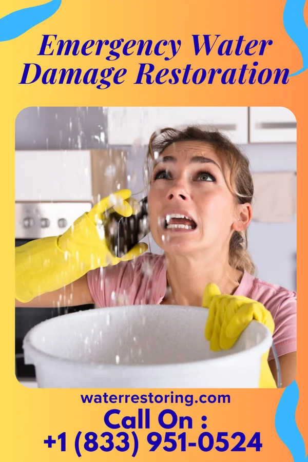 Emergency Water Damage Restoration in Bayonne, NJ