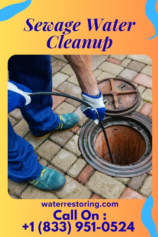 Sewage Water Cleanup in Bayonne, NJ